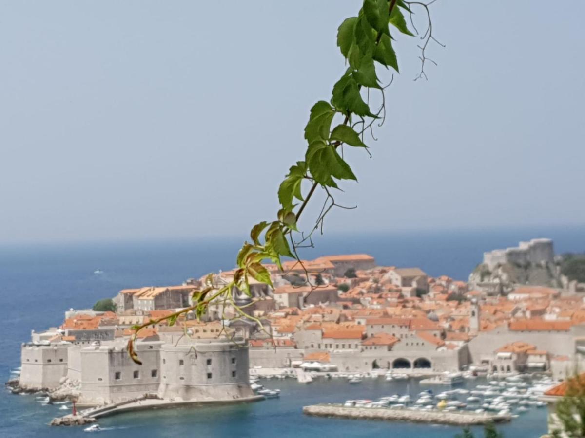 Studio Apartment Bupic- Close To Old City With Free Parking Dubrovnik Dış mekan fotoğraf